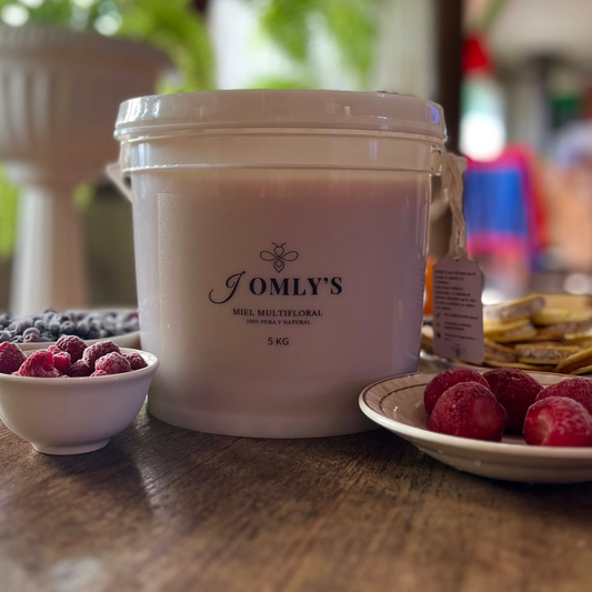 Miel 100% Natural - Tineta 5kg (Jomlys)