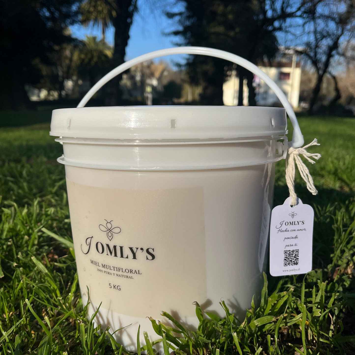 Miel 100% Natural - Tineta 5kg (Jomlys)