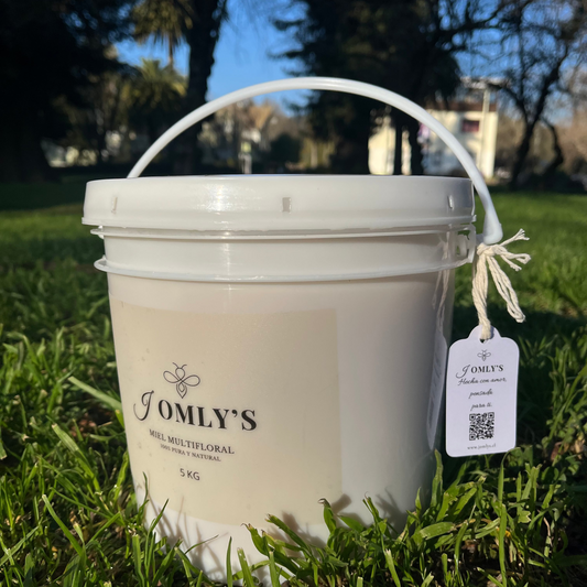 Miel 100% Natural - Tineta 5kg (Jomlys)