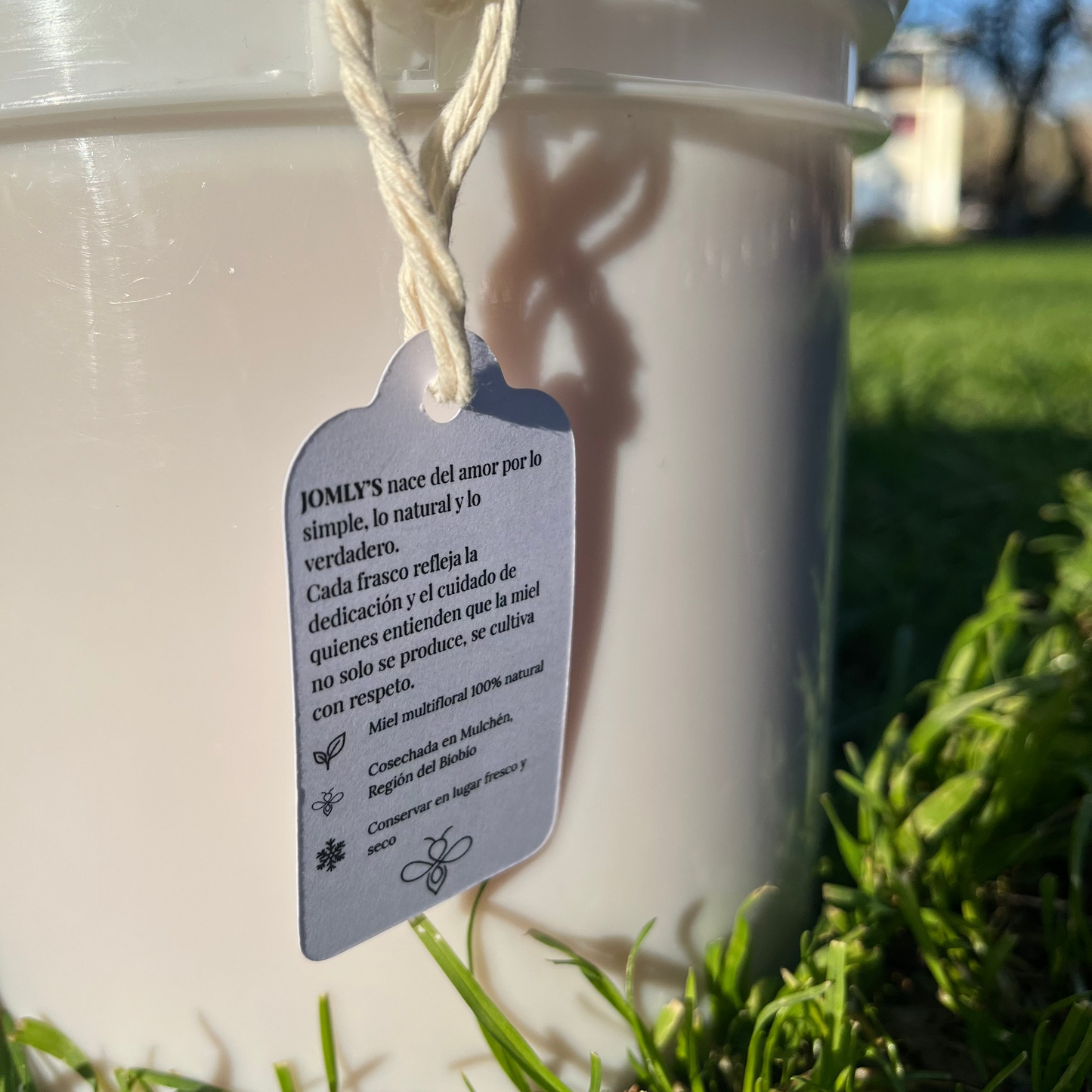 Miel 100% Natural - Tineta 5kg (Jomlys)